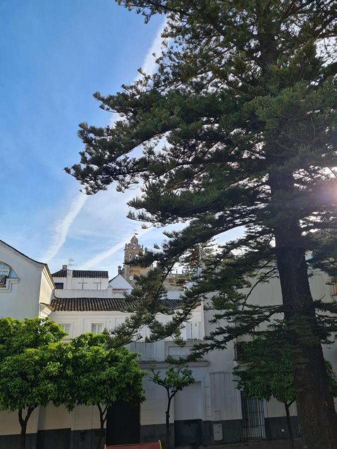 Araucaria Home Sanlúcar de Barrameda Εξωτερικό φωτογραφία